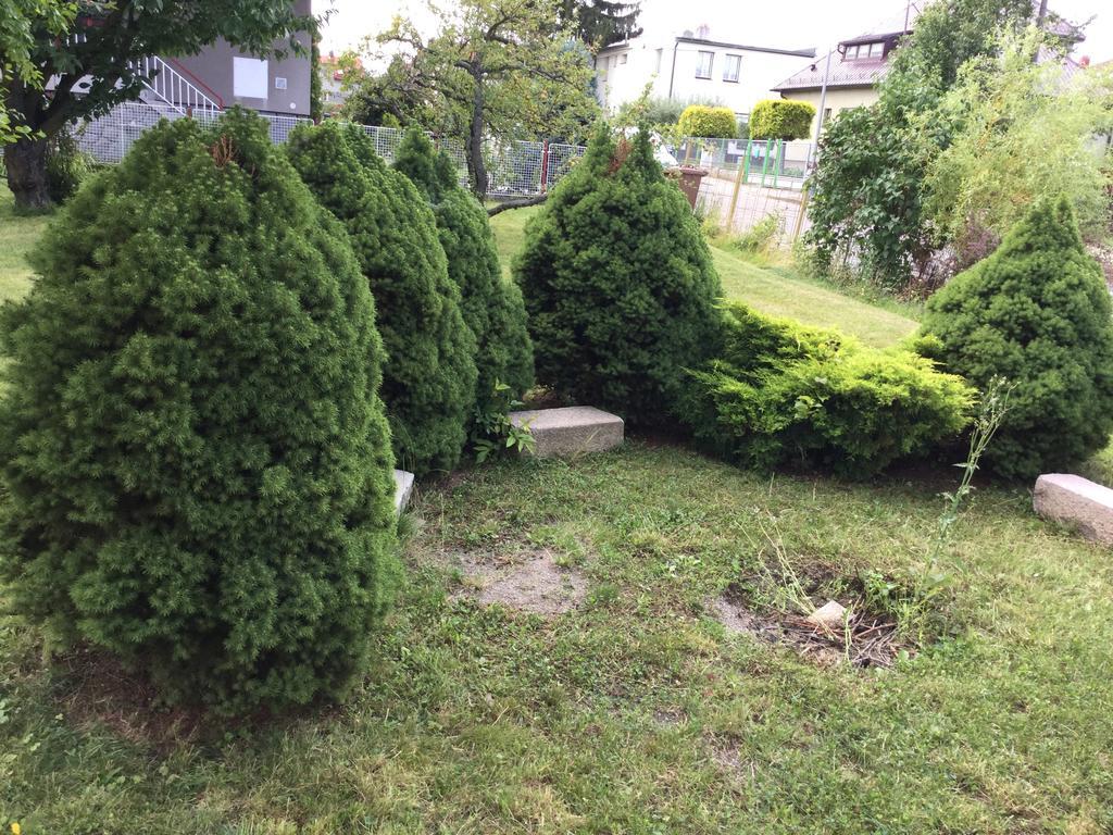 Lydiavi Appartement Vysoké Mýto Buitenkant foto