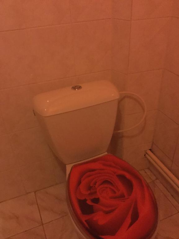 Lydiavi Appartement Vysoké Mýto Buitenkant foto